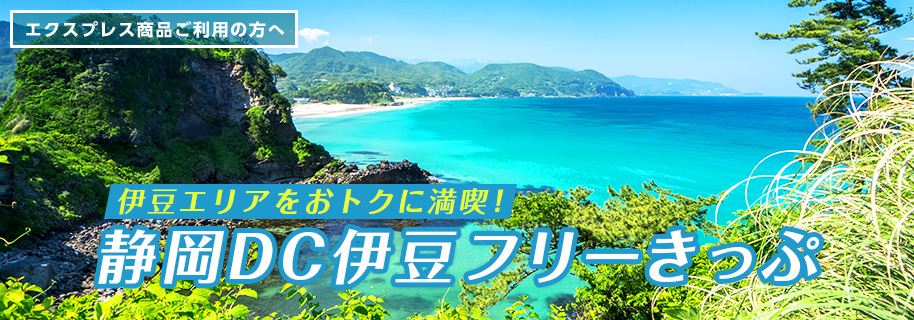 静岡DC伊豆フリーきっぷ
